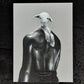 “The Body of the Lamb” Vol. 1 Trinity Collection